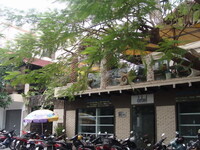Hòn Kiến Cafe - ảnh địa điểm 2