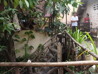 Hòn Kiến Cafe - ảnh địa điểm 4