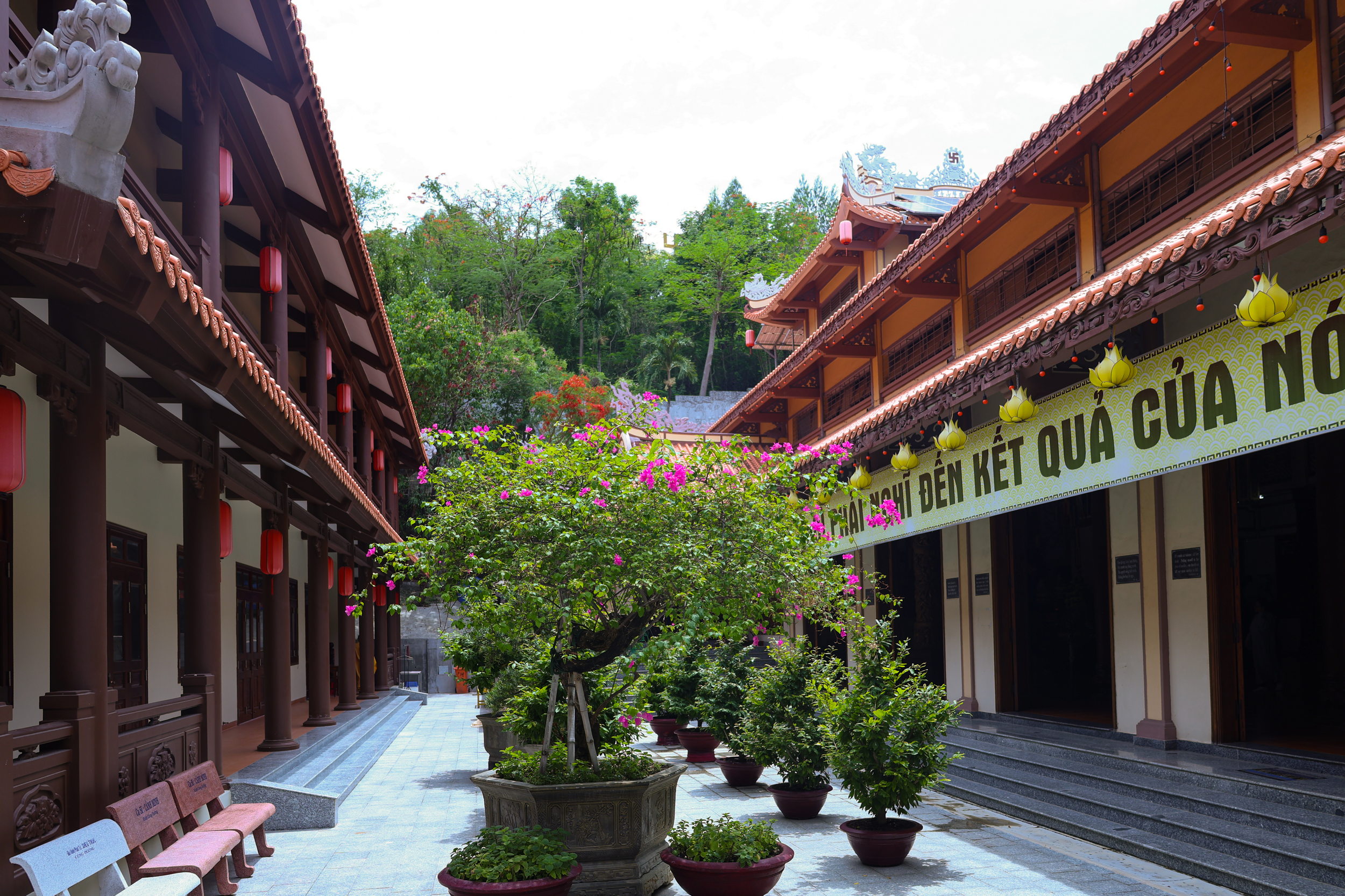 Chùa Long Sơn Nha Trang: Tượng Phật Trắng và kinh nghiệm tham quan