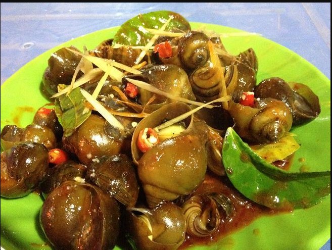 Món ốc xào tại Quán Ốc Long Vũ