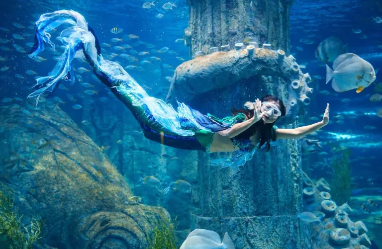 Các show diễn nổi bật tại Vinpearl Nha Trang