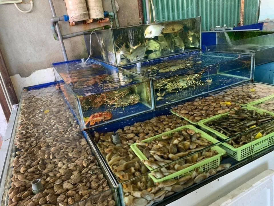Bể hải sản tại Hải Sản Bến Cảng
