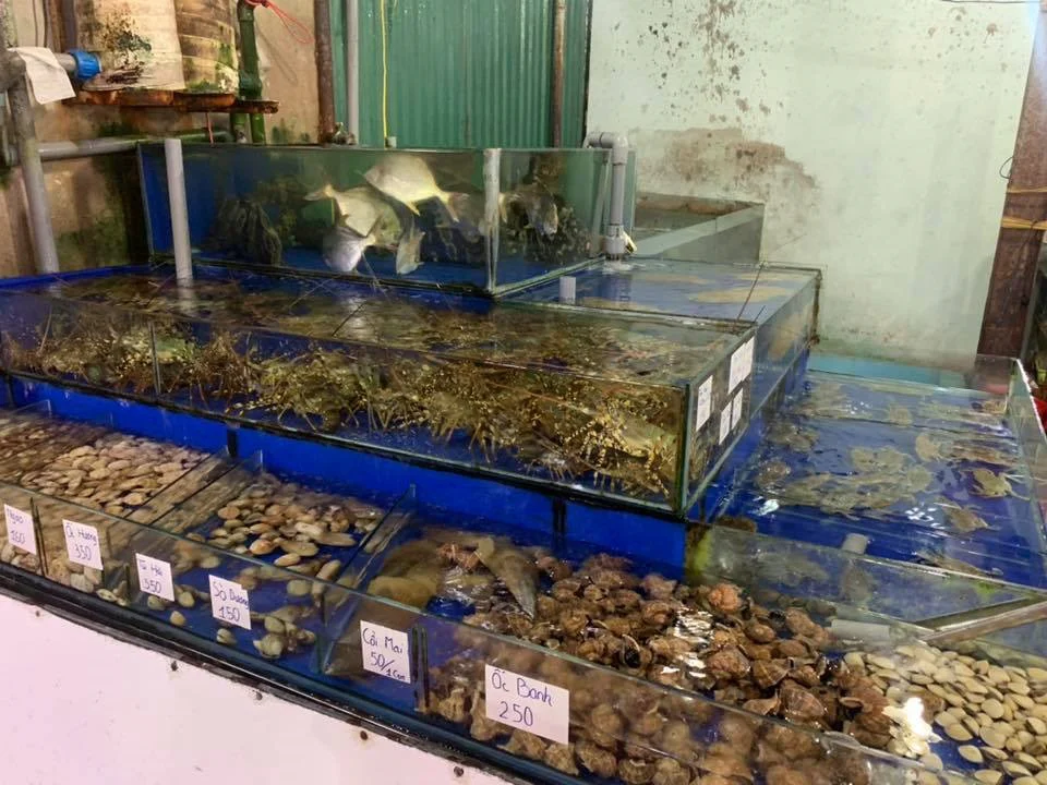 Các bể hải sản tại Bến Cảng