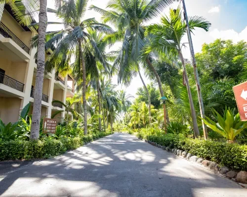 Toàn cảnh tại Diamond Bay Resort & Spa