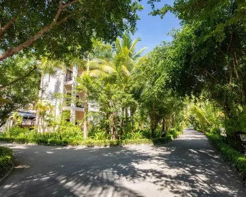 Toàn cảnh tại Diamond Bay Resort & Spa – góc 3