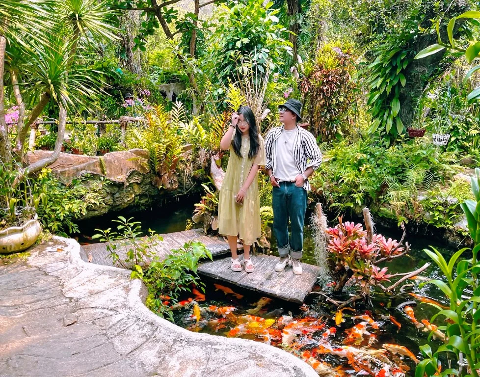 Hồ cá koi tại Đảo Hoa Lan