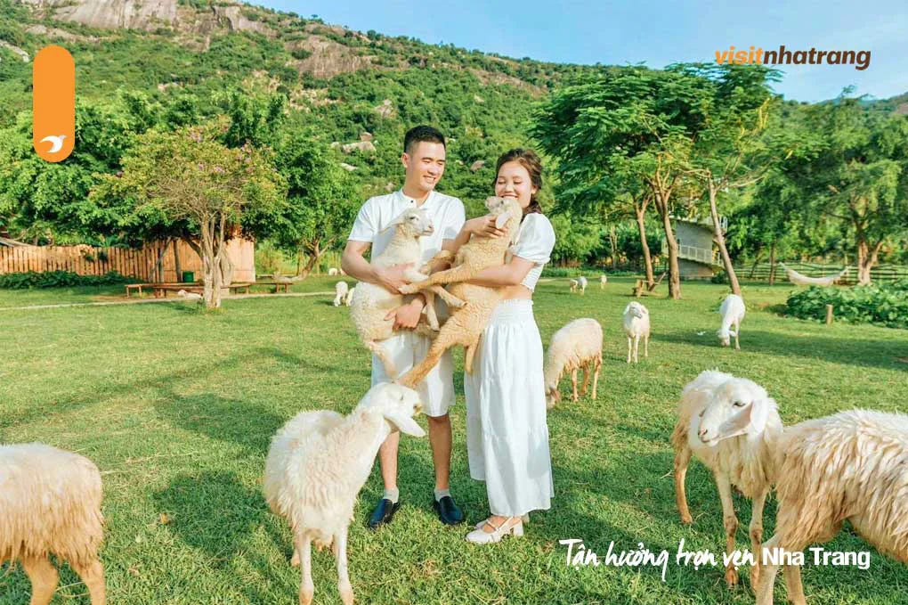 Đồng Cừu Suối Tiên trong tour một ngày
