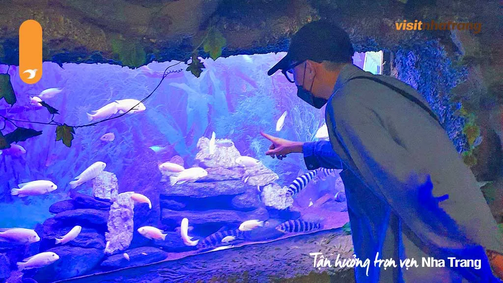 Du khách tắm biển tại Vịnh San Hô Nha Trang
