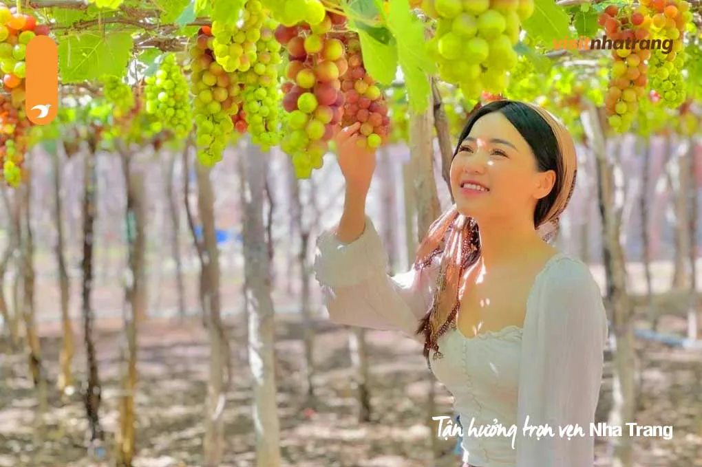 Cảnh quan Hang Rái trong tour Vĩnh Hy